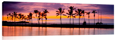 Palm tree sunset at Waikaloa on the big Island of Hawaii.