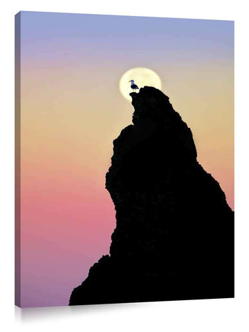 Full moon stting over rock at Bandon Beach with seagull. Bandon, Oregon