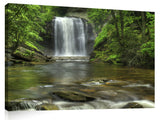 0115LookingGlassFalls_3d