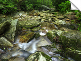 207BooneFork_3d