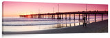 Venice_Surfer