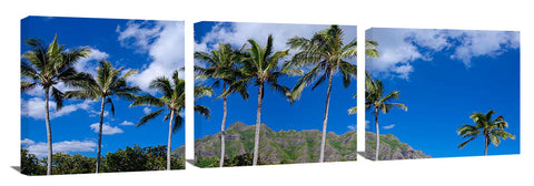 KualoaRidge_PalmTreeRidge-1024x317_c