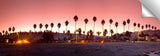 La_Jolla_Beach_Palms