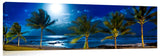 SharksCoveMoon_6FullMoonPalms1-1024x317_c