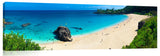 Bluewaimea_-1024x317_c