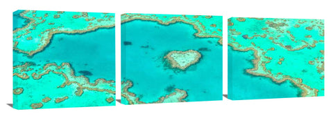 826-heart-reef-sharp-flat_c