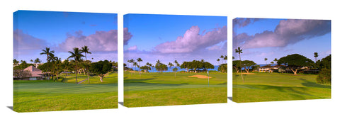 Royal_Kaanapani