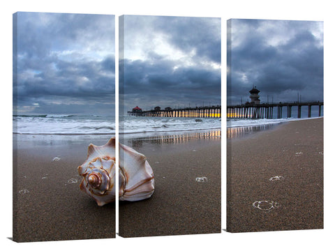 Huntington_Seashell