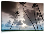 Alaia_Palms