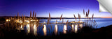 Capitola_Pipi_Grass