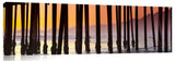 Pismo_Pylons