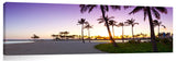 AlaMoana_080112_9_WaikikiSunsetPalms-1024x317_c