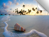 Gili_Shell_
