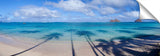 Lanikai_13_10_ThirstyPalms-1024x317_c