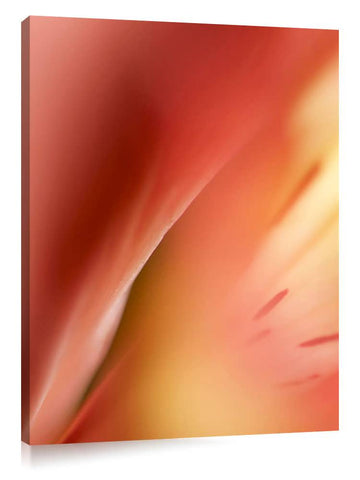 DSC1423