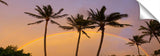 RainbowPalms_042612_088-1024x317_r