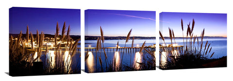 Capitola_Pipi_Grass