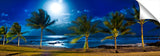 SharksCoveMoon_6FullMoonPalms1-1024x317_c