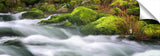 PA0236DL_c