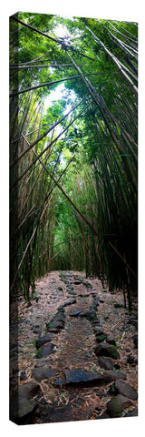 PipiwaiTrail2_3d