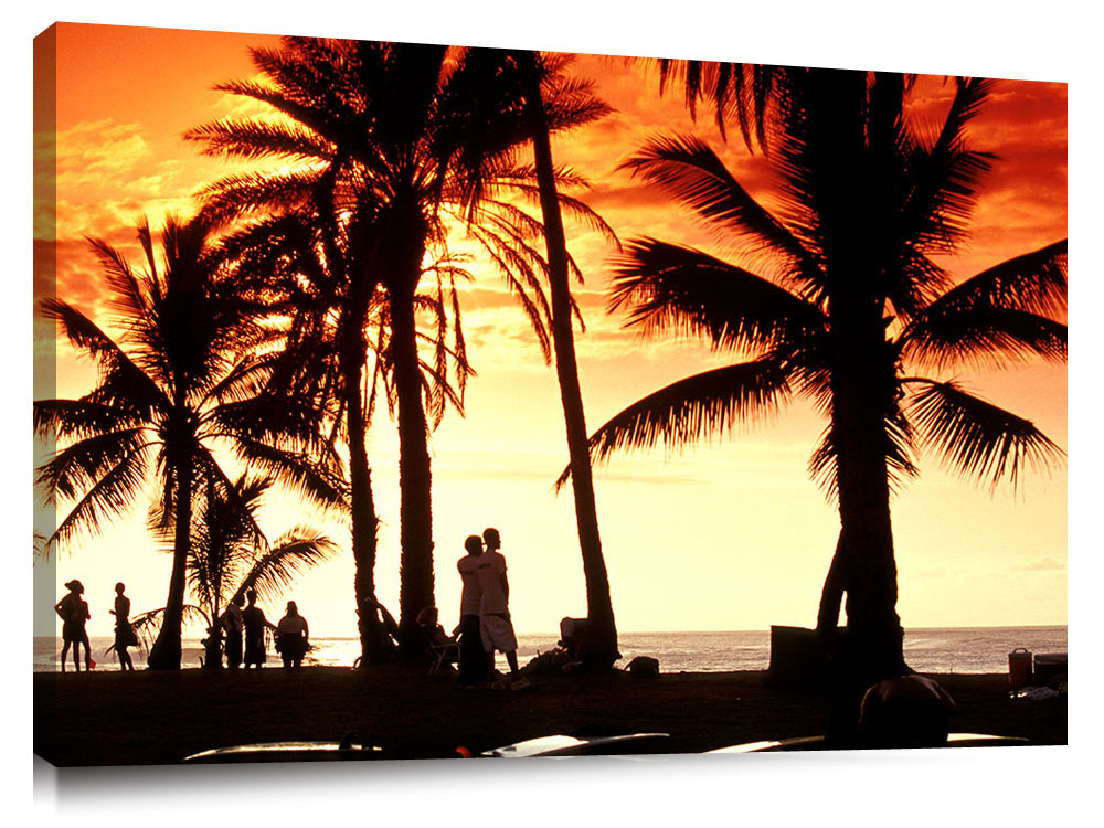 silhouettes of surfers and palms at Alii Beach Park, north shore