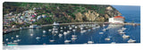 Avalon_Harbor