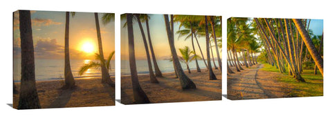 772A-Palm-COve-sharp_c