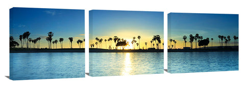 Mission_Bay_Blue-Palms