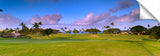 Royal_Kaanapani