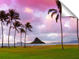 Chinamans hat, on the east side of Oahu, Hawaii.