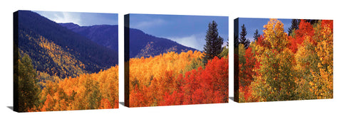 Indian-Summer_3d