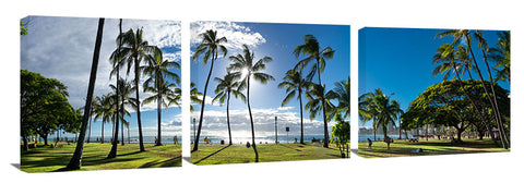 Waikiki_Palm_Shadows