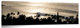 Waimea_Rolled_Gold