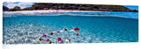 Waimea_082613_0247_CrystalClearLei1-1024x317_c