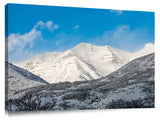 Looking-Out-the-Front-Door-Two-Orem-UT_c