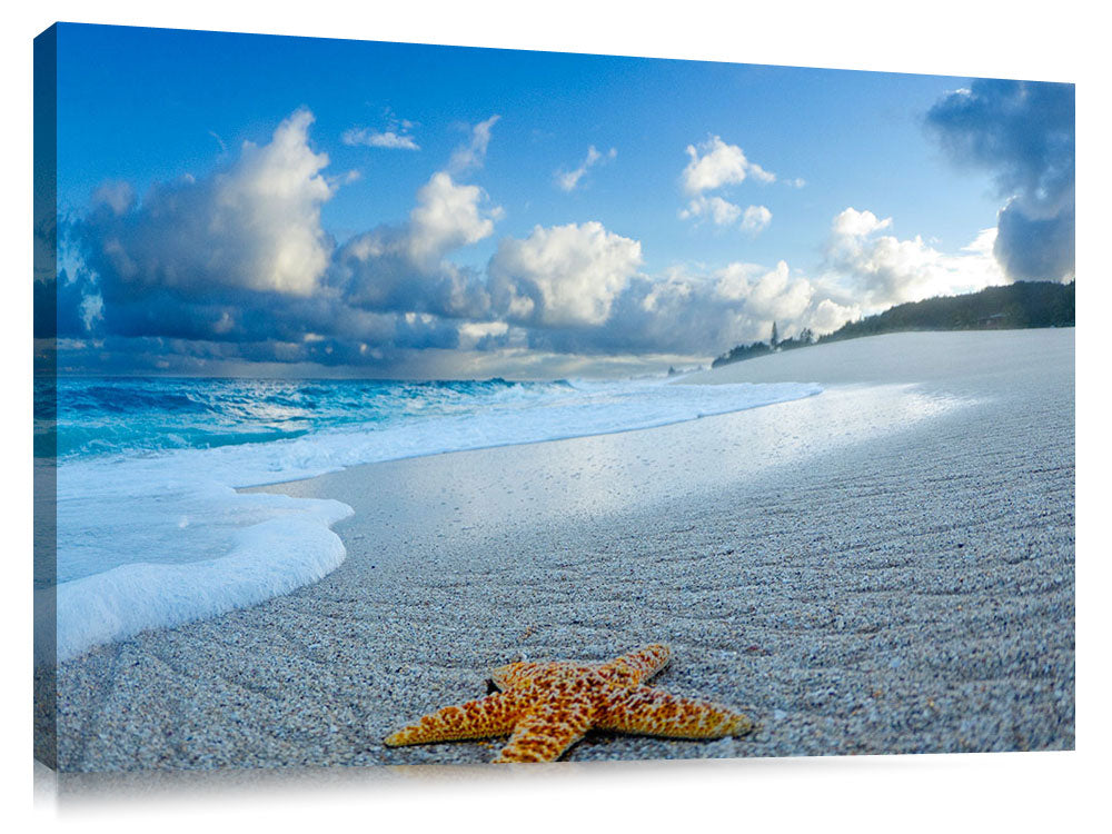 A starfish on the beach at sunrise.