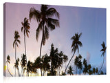 Palm_Tree_Party