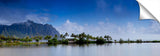 KahaluuPond_072012_11-1024x317_c