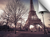 View of Eiffel tower from park, Paris, France