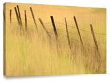 F00707Dig