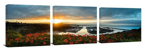 Dana_Point_Red_Flora