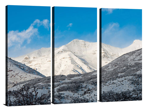 Looking-Out-the-Front-Door-Two-Orem-UT_c