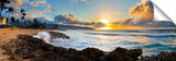 Golden_Haleiwa
