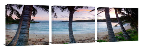 Kawelah_13_18_CoconutTreePastels-1024x317_c