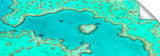 826-heart-reef-sharp-flat_c
