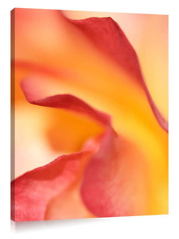 DSC3831