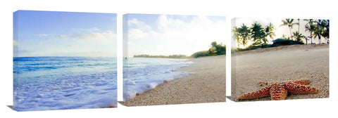 SunriseStarfish_072611_0033_30x90_2_c
