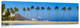 AlaMoana_080112_100_WaikikiPalms1-1024x317_c