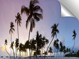 Palm_Tree_Party