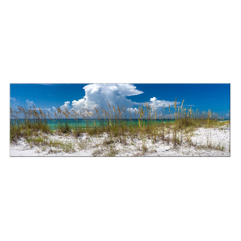 East Coast by Colossal Images- Photographic Print on Canvas